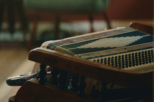 Audio biblioteka za sampler Spitfire Audio Hearth and Hollow - Folk Accordion (Digitalni proizvod) - 7