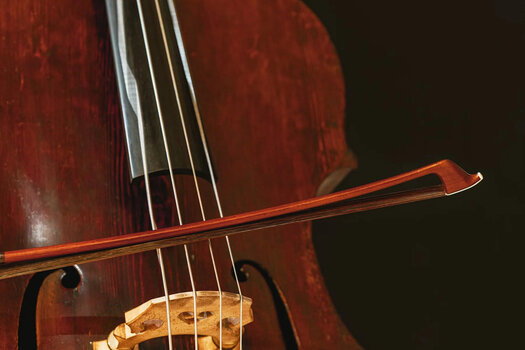 Biblioteca de muestras/sonidos Spitfire Audio Abbey Road Orchestra: Basses Professional (Producto digital) - 2