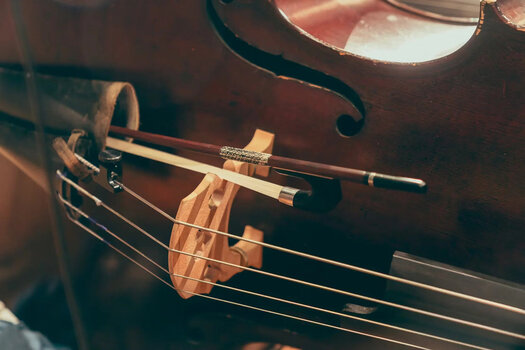 Biblioteca de muestras/sonidos Spitfire Audio Abbey Road Orchestra: Basses Professional (Producto digital) - 5