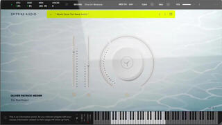 Sample i instrumenty wirtualne Spitfire Audio Oliver Patrice Weder — The Pool Project (Produkt cyfrowy) - 1
