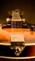 Audio biblioteka za sampler Impact Soundworks Rosette Mandolin (Digitalni proizvod) - 1