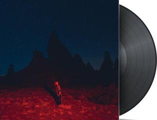 LP ploča Pheobe Bridgers - Punisher (LP) - 1