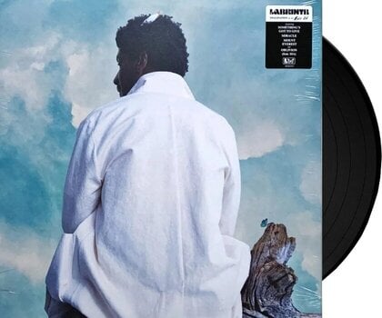 Vinyl Record Labrinth - Misfit Kid (LP) - 2