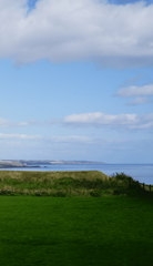 Sample/Sound Library Impact Soundworks Traveler Series: Celtic Fiddle (Digital product) - 1