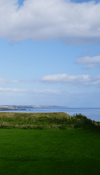 Sample/Sound Library Impact Soundworks Traveler Series: Celtic Fiddle (Digital product) - 2