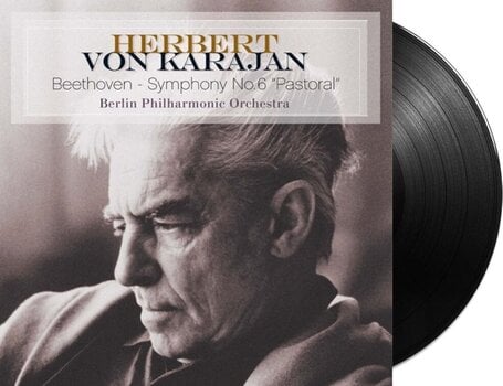 LP ploča Ludwig van Beethoven - Symphony No. 6 Pastoral (LP) - 2