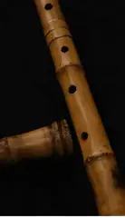 Библиотека със звукови ефекти Impact Soundworks Ventus Winds - Shakuhachi (Дигитален продукт) - 2