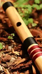 Sample/Sound Library Impact Soundworks Ventus Winds - Bansuri (Digital product) - 1