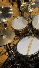 Bibliotecă de sunet pentru samplere Impact Soundworks Shreddage Drums (Produs digital) - 2