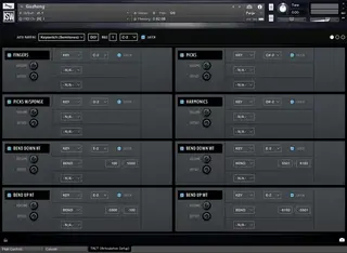 Audio biblioteka za sampler Impact Soundworks Plectra Series 5: Guzheng (Digitalni proizvod) - 2