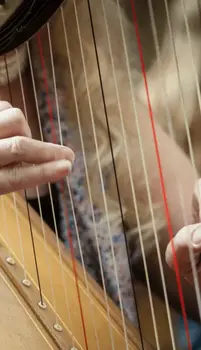 Zvučna knjižnica za efekte Impact Soundworks Plectra Series 2: Highland Harps (Digitalni proizvod) - 3