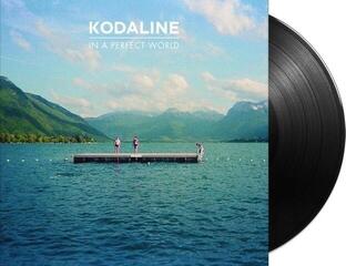 Hanglemez Kodaline - In A Perfect World (LP) - 1