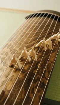 Zvučna knjižnica za efekte Impact Soundworks Koto Nation: Classical Instruments of Japan (Digitalni proizvod) - 3