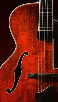 Sample/lydbibliotek Impact Soundworks Shreddage 3 Archtop (Digitalt produkt) - 2