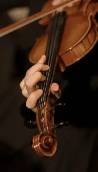 Näidisteek/Helikogu Impact Soundworks Tokyo Scoring Strings (Digitaalne toode) - 2