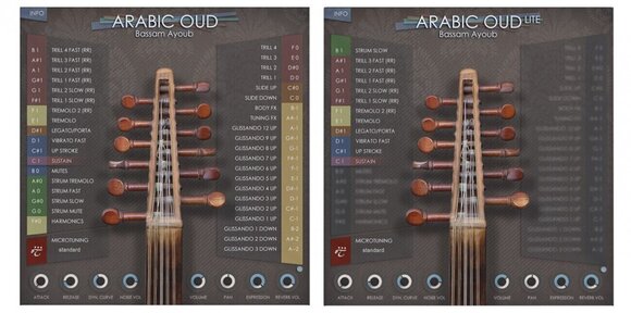 Sample/Sound Library Best Service Arabic Oud Crossgrade (Digital product) - 3