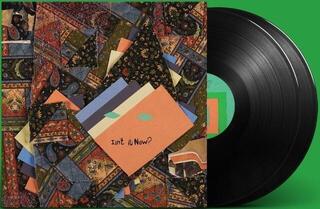Disque vinyle Animal Collective - Isn't It Now? (2 LP) - 1