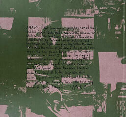 Disque vinyle Animal Collective - Spirit They're Gone, Spirit They've Vanished (Limited Edition) (Grass Green Coloured) (2 LP) - 2