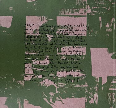 Disc de vinil Animal Collective - Spirit They're Gone, Spirit They've Vanished (Limited Edition) (Grass Green Coloured) (2 LP) - 3