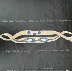 Disque vinyle Animal Collective - Spirit They're Gone, Spirit They've Vanished (Limited Edition) (Grass Green Coloured) (2 LP) - 1