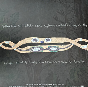 Disc de vinil Animal Collective - Spirit They're Gone, Spirit They've Vanished (Limited Edition) (Grass Green Coloured) (2 LP) - 2