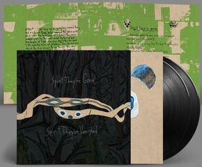 Disque vinyle Animal Collective - Spirit They're Gone, Spirit They've Vanished (Reissue) (2 LP) - 1