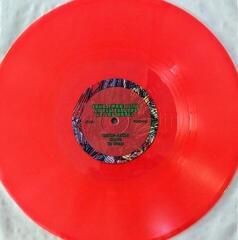 Disque vinyle Animal Collective - Sung Tongs Live At The Theatre At Ace Hotel (Reissue) (Anniversary Edition) (Neon Orange & Light Green Coloured) (2 LP) - 1