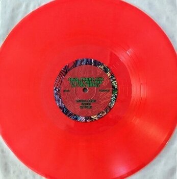 LP ploča Animal Collective - Sung Tongs Live At The Theatre At Ace Hotel (Reissue) (Anniversary Edition) (Neon Orange & Light Green Coloured) (2 LP) - 2