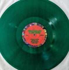 Disque vinyle Animal Collective - Sung Tongs Live At The Theatre At Ace Hotel (Reissue) (Anniversary Edition) (Neon Orange & Light Green Coloured) (2 LP) - 2