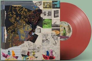 Disque vinyle Animal Collective - Time Skiffs (45 RPM) (Translucent Ruby Coloured) (2 LP) - 1