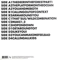 Vinylplade Arthur Russell - Calling Out Of Context (2 LP) - 2