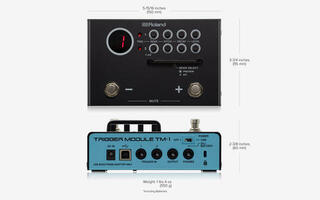 Module Roland TM-1 Module - 1