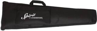 4-string Bassguitar Steinberger Spirit Xt-2 Bass Outfit 4-String 4-string Bassguitar - 1