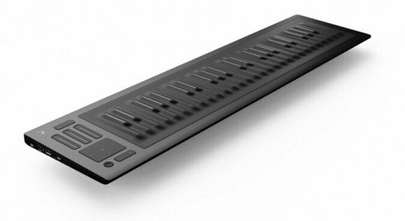 MIDI keyboard Roli Seaboard Rise 49 V2 - 9