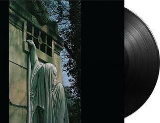 Hanglemez Dead Can Dance - Within the Realm of a Dying Sun (Reissue) (LP) - 1