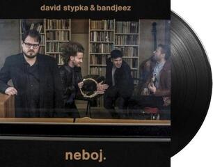 Vinyl Record David Stypka - Neboj. (12" Vinyl) - 1