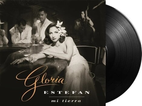 Vinüülplaat Gloria Estefan - Mi Tierra (LP) - 2