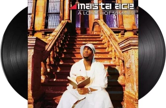 Vinyl Record Masta Ace - A Long Hot Summer (2 LP) - 2