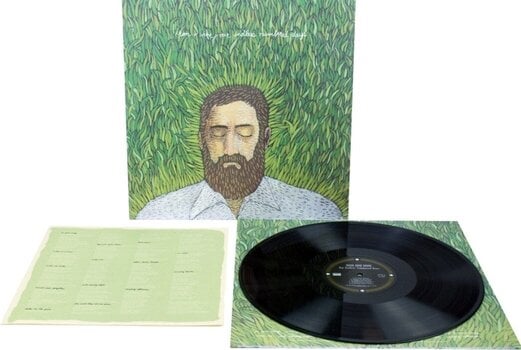 Вінілові платівки Iron and Wine - Our Endless Numbered Days (LP) - 2
