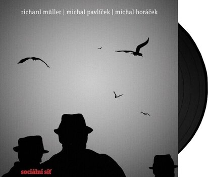 Hanglemez Richard Müller - Socialní síť (LP) - 2