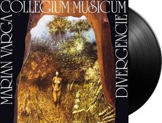 Hanglemez Collegium Musicum - Divergencie (180g) (2 LP) - 1
