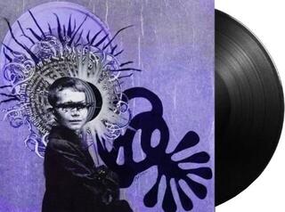 Vinyl Record The Brian Jonestown Massacre - Revelation (Repress) (180g) (2 LP) - 1