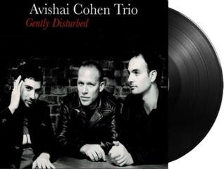 LP ploča Avishai Cohen - Gently Disturbed (LP) - 1
