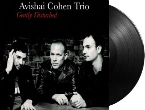 LP ploča Avishai Cohen - Gently Disturbed (LP) - 2