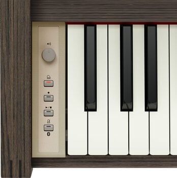 Digitalni piano Roland Kiyola KF-25 Smoked Oak Digitalni piano - 13