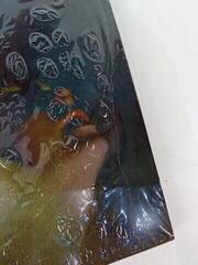 Disco de vinil Deftones - Saturday Night Wrist (LP) (Apenas desembalado) - 2