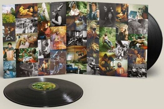 LP ploča Big Thief - Dragon New Warm Mountain I Believe In You (2 LP) - 2