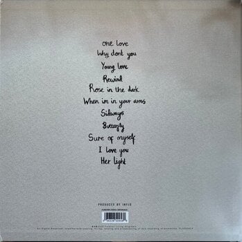 Δίσκος LP Cleo Sol - Rose In The Dark (LP) - 2