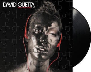 LP ploča David Guetta - Just A Little More Love (Gatefold Sleeve) (2 LP) - 1