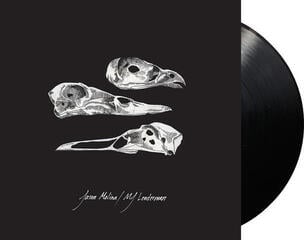 Disc de vinil Jason Molina / MJ Lenderman - Last Three Human Words (Demo) / Just Be Simple (LP) - 1